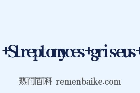 Streptomyces griseus 是什么意思的图片